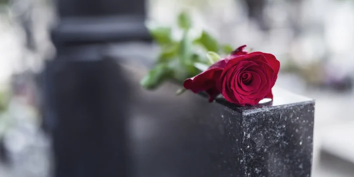 single rose on top of headstone at cemetery